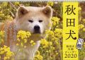 秋田犬　カレンダー