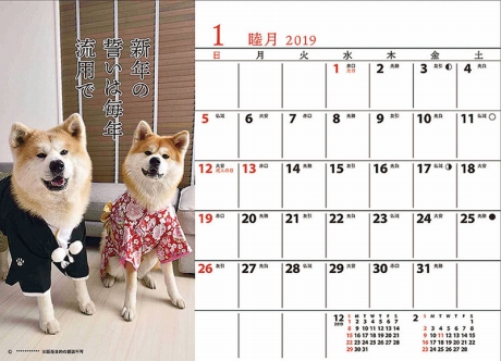 卓上 秋田犬　カレンダー