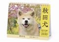 卓上 秋田犬　カレンダー
