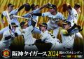 2022N  _^CK[XT߂@J_[