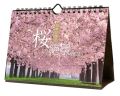 卓上 日本が誇る 桜の絶景　カレンダー
