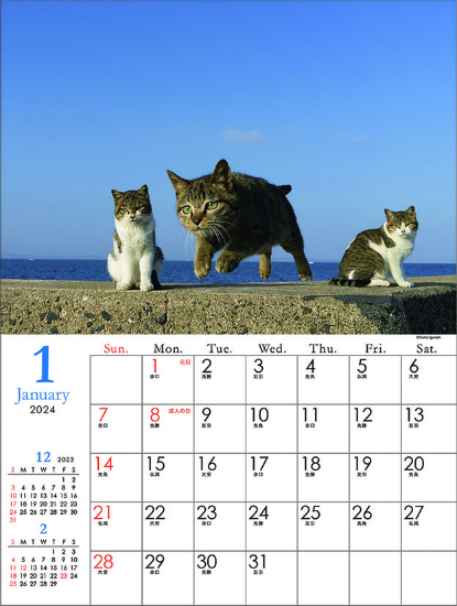 飛び猫　カレンダー