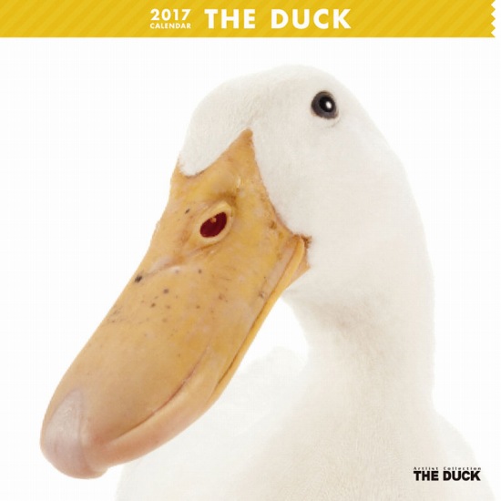 THE DUCK@J_[