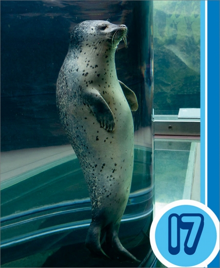 あさひやま動物園　カレンダー