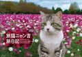 旅猫ニャン吉 旅日記　カレンダー