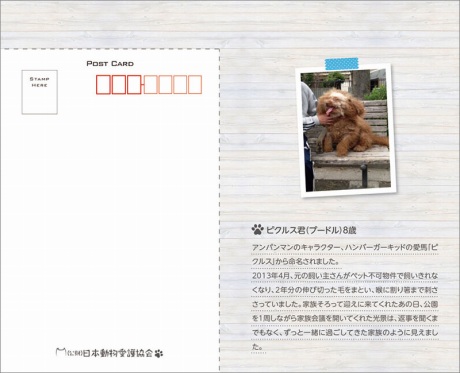 日本動物愛護協会カレンダー