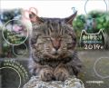 卓上 日本動物愛護協会　カレンダー