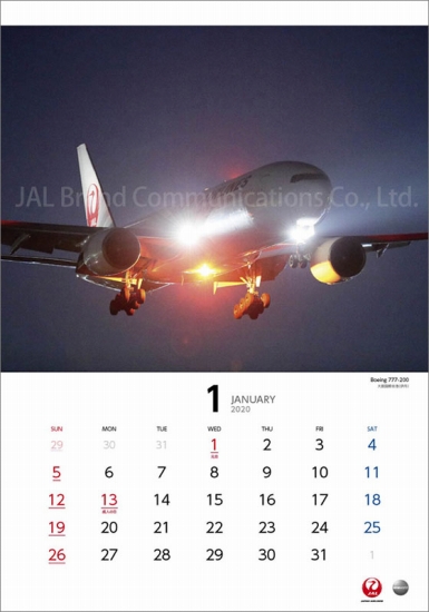 JAL iCgtCg J_[