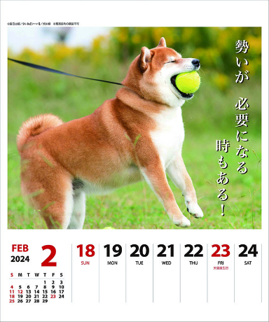 犬川柳　カレンダー