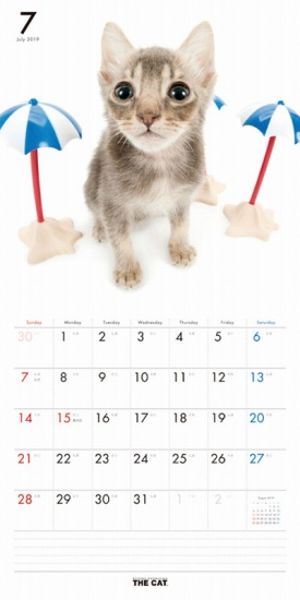 THE CAT �~�b�N�X�J�����_�[