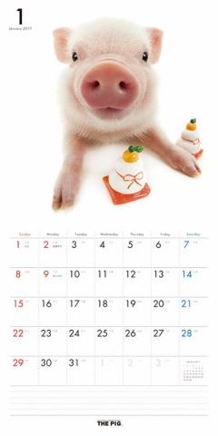 THE PIG@J_[