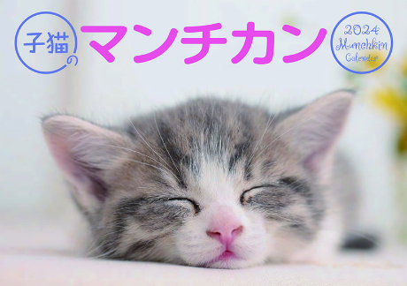 qL̃}`J@J_[