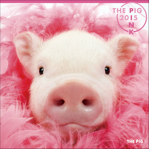 THE PIG GARDEN@J_[