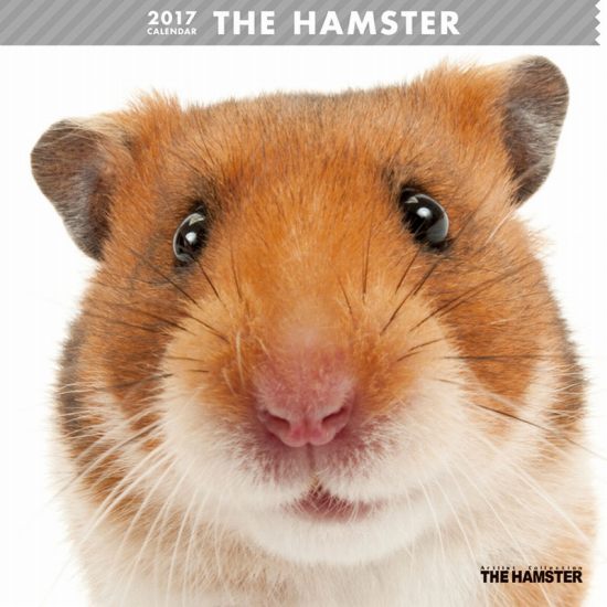 THE HAMSTER@J_[