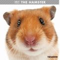 THE HAMSTER@J_[