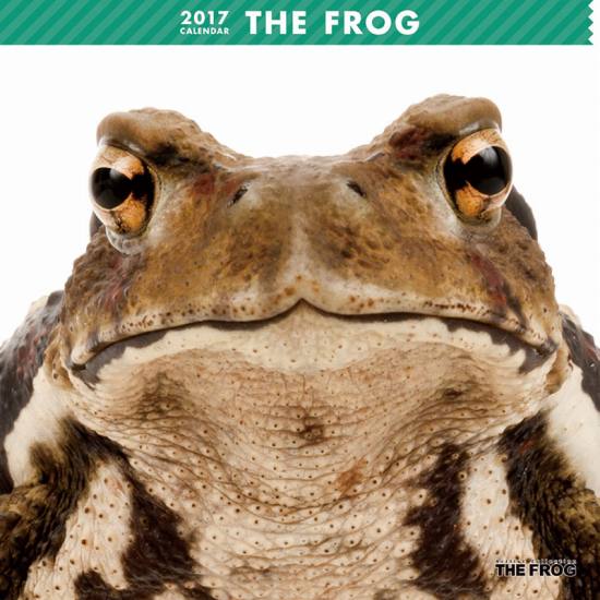 THE FROG@J_[