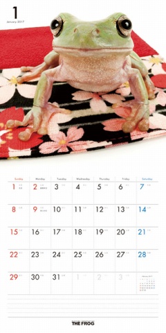THE FROG@J_[