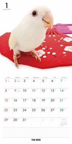 THE BIRD@J_[