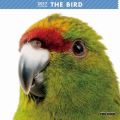 THE BIRD@J_[