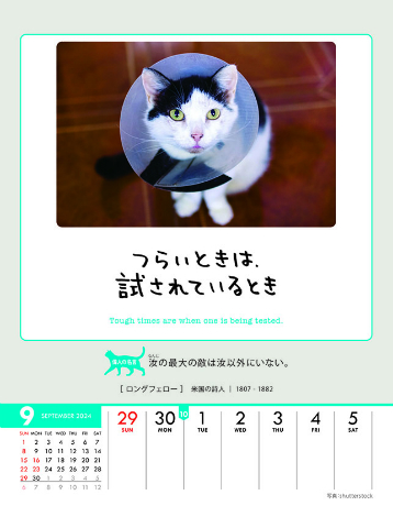 l̓jƂȂ@J_[