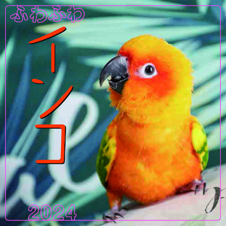  ӂӂCR@J_[