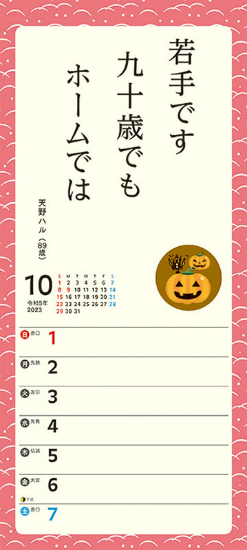 Vo[@J_[