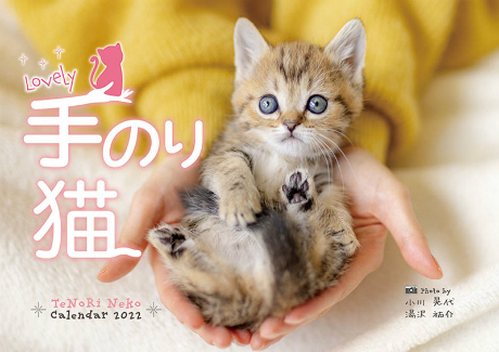 Lovely ̂L J_[