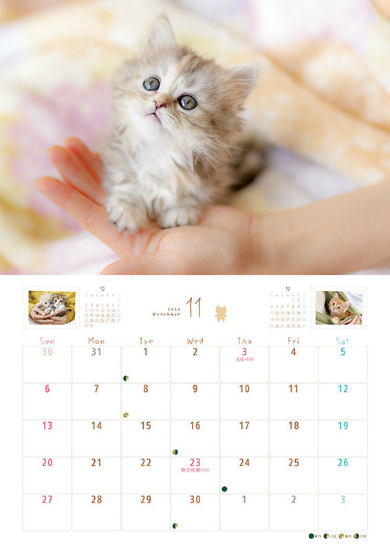 Lovely ̂L J_[