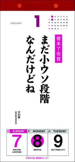 䋳P J_[