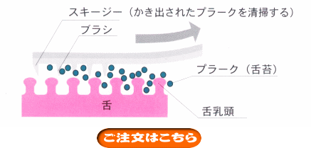 ۏ@^N[i[@